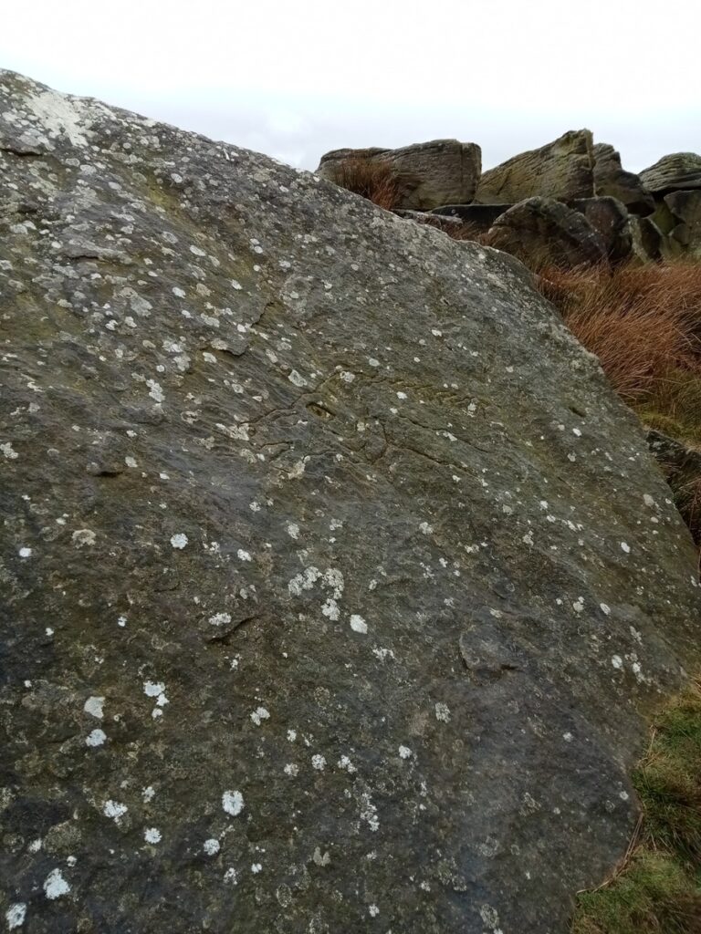 This image has an empty alt attribute; its file name is IMG20220128102255-768x1024.jpg
