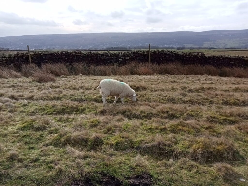 This image has an empty alt attribute; its file name is IMG20220226114456-1024x768.jpg